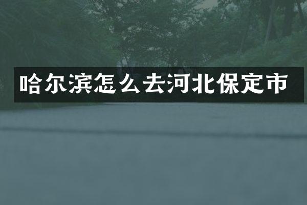 哈尔滨怎么去河北保定市