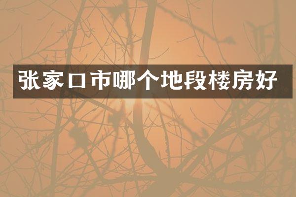 张家口市哪个地段楼房好