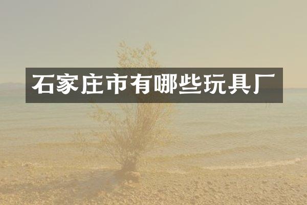 石家庄市有哪些玩具厂