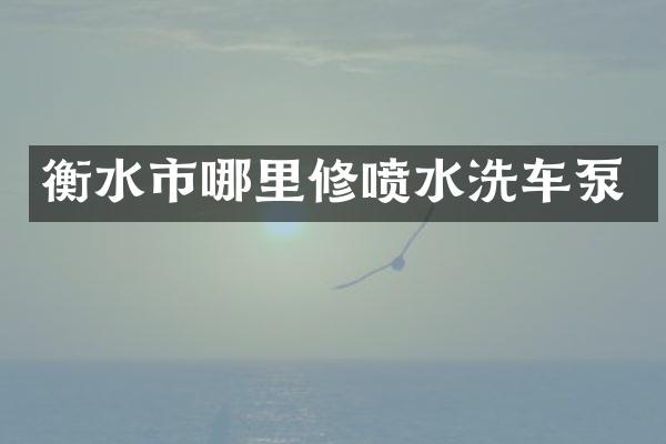 衡水市哪里修喷水洗车泵