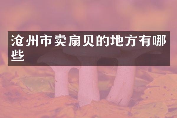 沧州市卖扇贝的地方有哪些