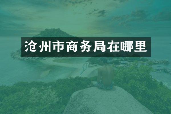 沧州市商务局在哪里