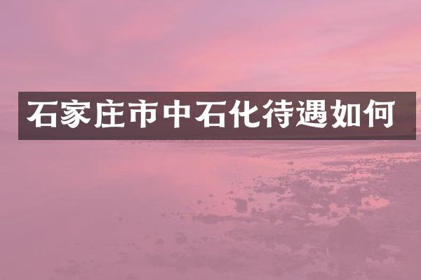 石家庄市中石化待遇如何
