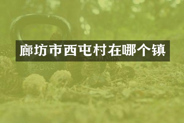 廊坊市西屯村在哪个镇