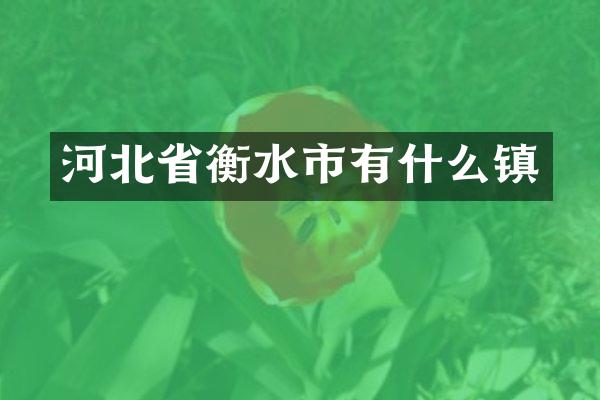 河北省衡水市有什么镇