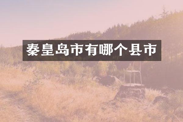 秦皇岛市有哪个县市