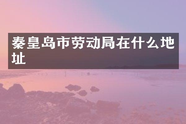 秦皇岛市劳动局在什么地址