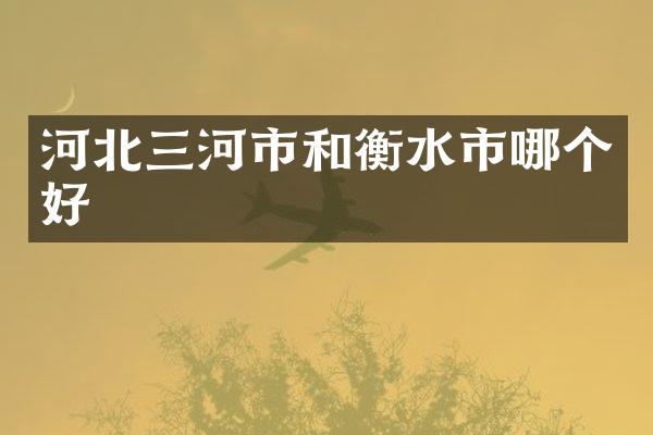 河北三河市和衡水市哪个好