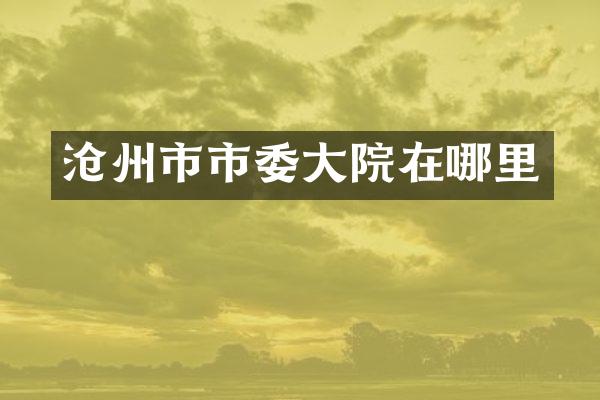 沧州市市委大院在哪里