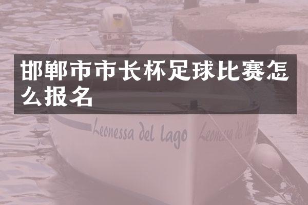 邯郸市市长杯足球比赛怎么报名