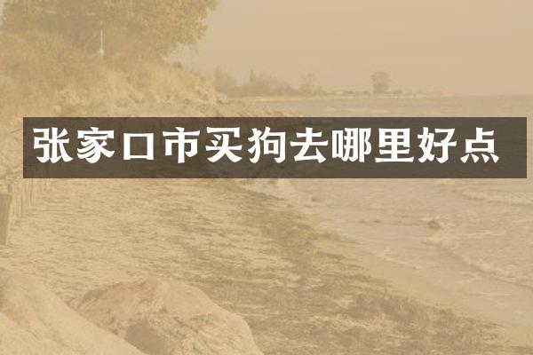 张家口市买狗去哪里好点