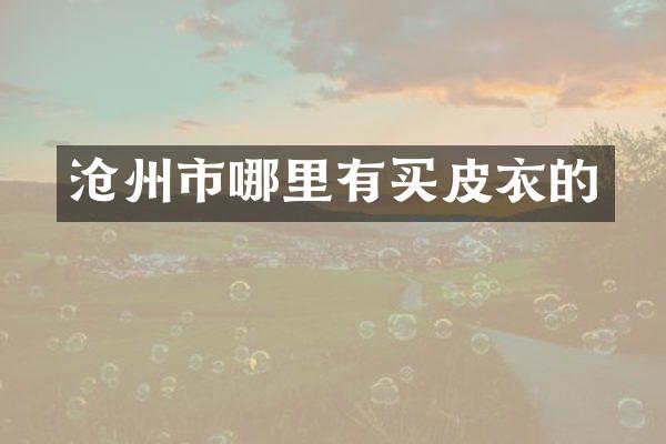 沧州市哪里有买皮衣的