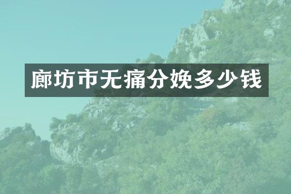 廊坊市无痛分娩多少钱