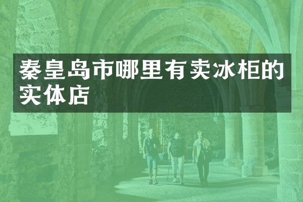 秦皇岛市哪里有卖冰柜的实体店