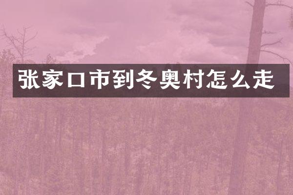 张家口市到冬奥村怎么走