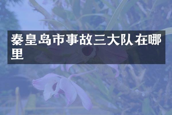 秦皇岛市事故三大队在哪里