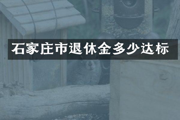 石家庄市退休金多少达标