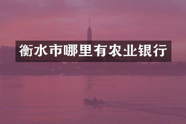 衡水市哪里有农业银行