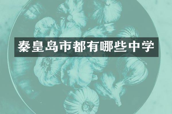秦皇岛市都有哪些中学