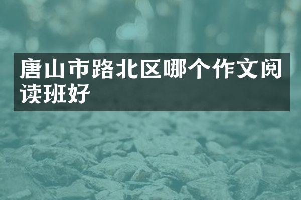 唐山市路北区哪个作文阅读班好