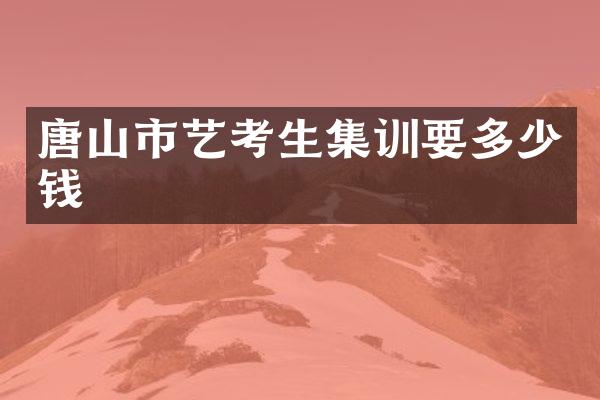 唐山市艺考生集训要多少钱