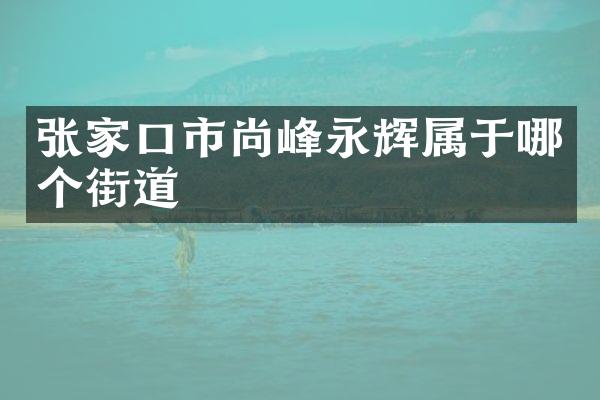 张家口市尚峰永辉属于哪个街道