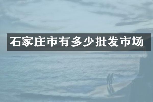 石家庄市有多少批发市场