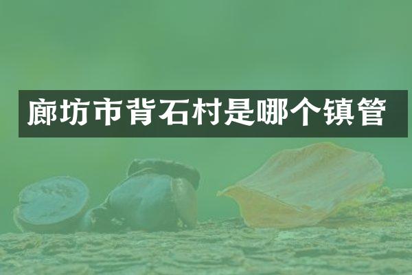 廊坊市背石村是哪个镇管