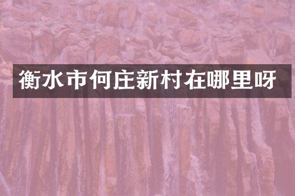 衡水市何庄新村在哪里呀