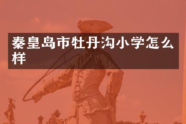 秦皇岛市牡丹沟小学怎么样