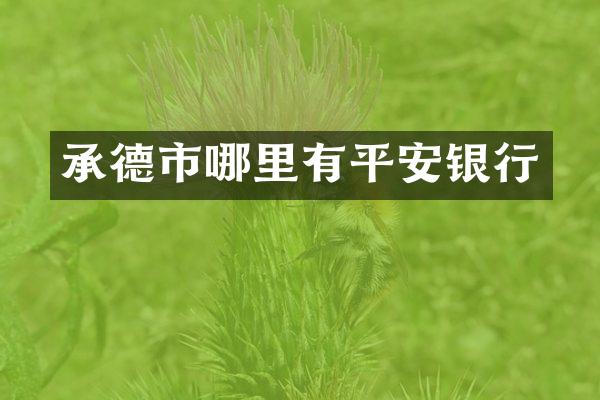 承德市哪里有平安银行
