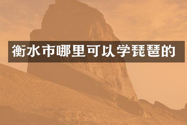 衡水市哪里可以学琵琶的
