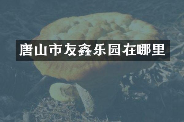 唐山市友鑫乐园在哪里