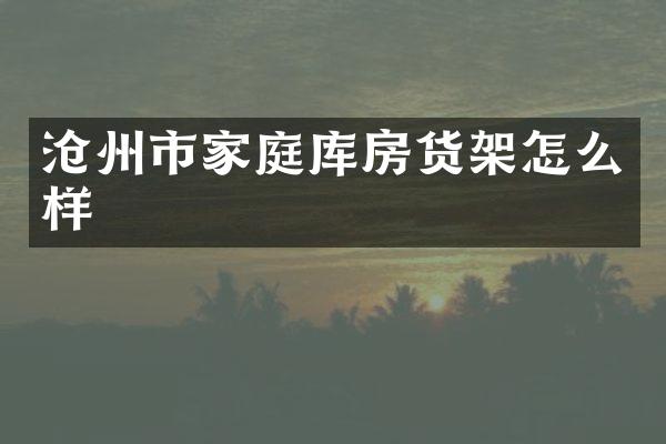 沧州市家庭库房货架怎么样