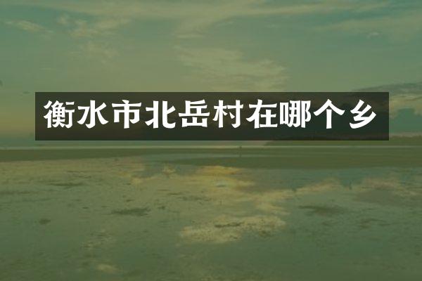 衡水市北岳村在哪个乡