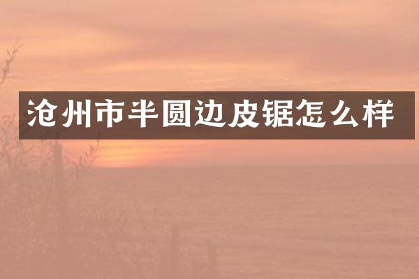 沧州市半圆边皮锯怎么样