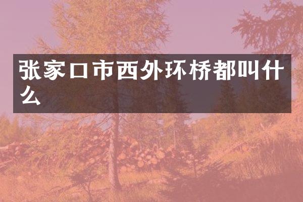 张家口市西外环桥都叫什么