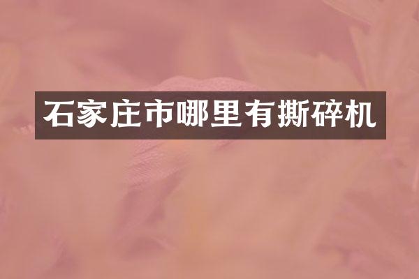 石家庄市哪里有撕碎机