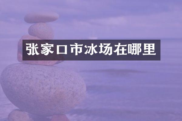 张家口市冰场在哪里