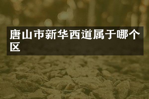 唐山市新华西道属于哪个区