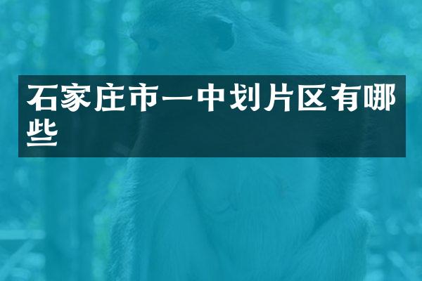 石家庄市一中划片区有哪些