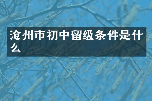 沧州市初中留级条件是什么