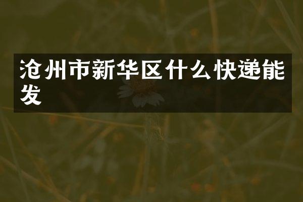 沧州市新华区什么快递能发