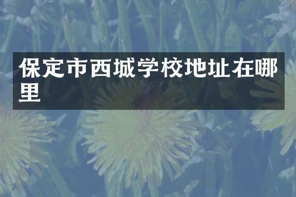 保定市西城学校地址在哪里