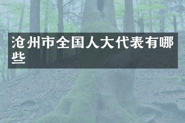 沧州市全国人大代表有哪些