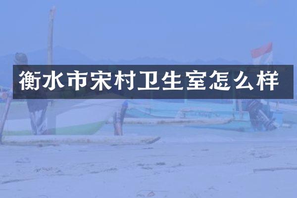 衡水市宋村卫生室怎么样