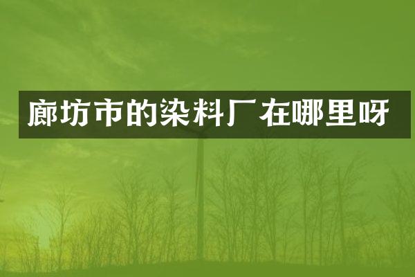 廊坊市的染料厂在哪里呀