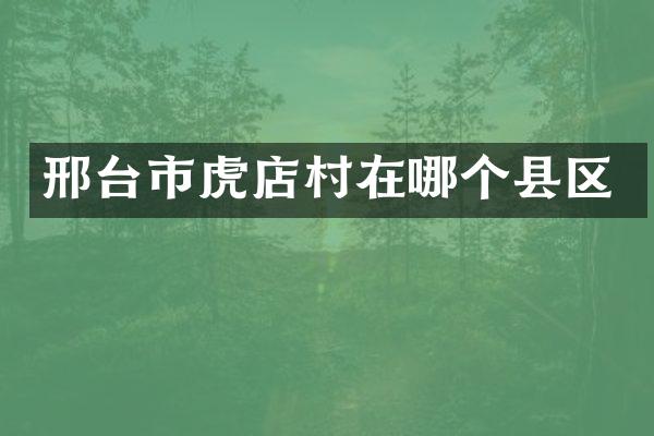 邢台市虎店村在哪个县区