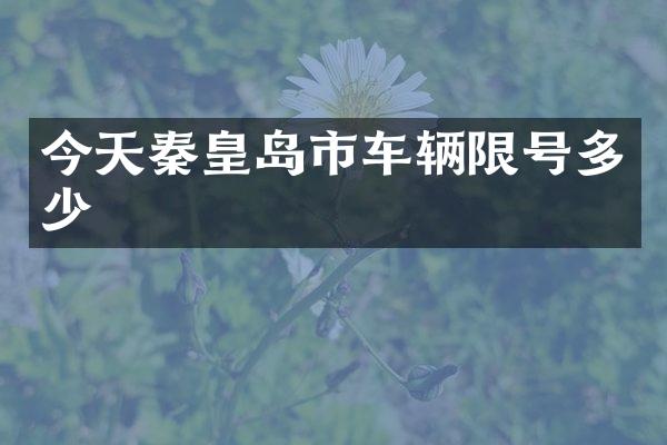 今天秦皇岛市车辆限号多少