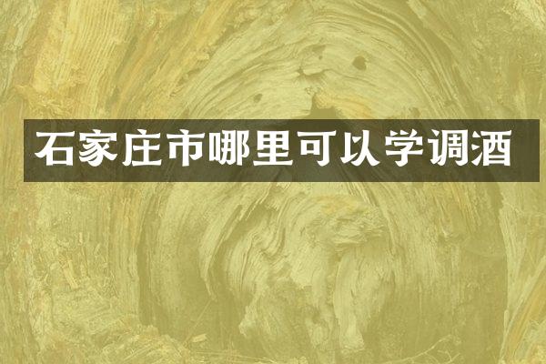石家庄市哪里可以学调酒